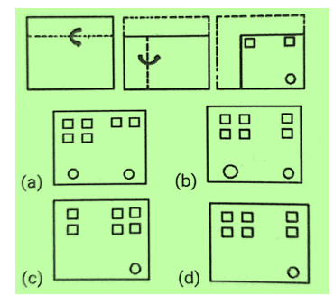 CHSL Mini Mock Reasoning (20 June 2024) 8