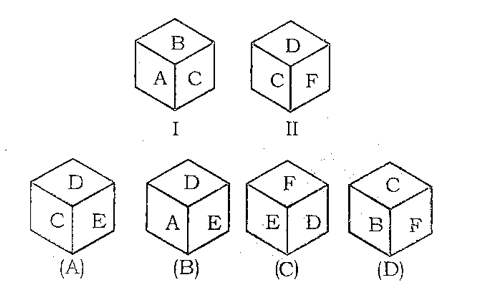 CHSL Mini Mock Reasoning (28 June 2024) 5