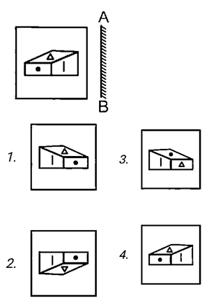 CHSL Mini Mock Reasoning (01 June 2024) 3