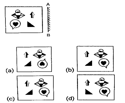 CHSL Mini Mock Reasoning (14 June 2024) 9