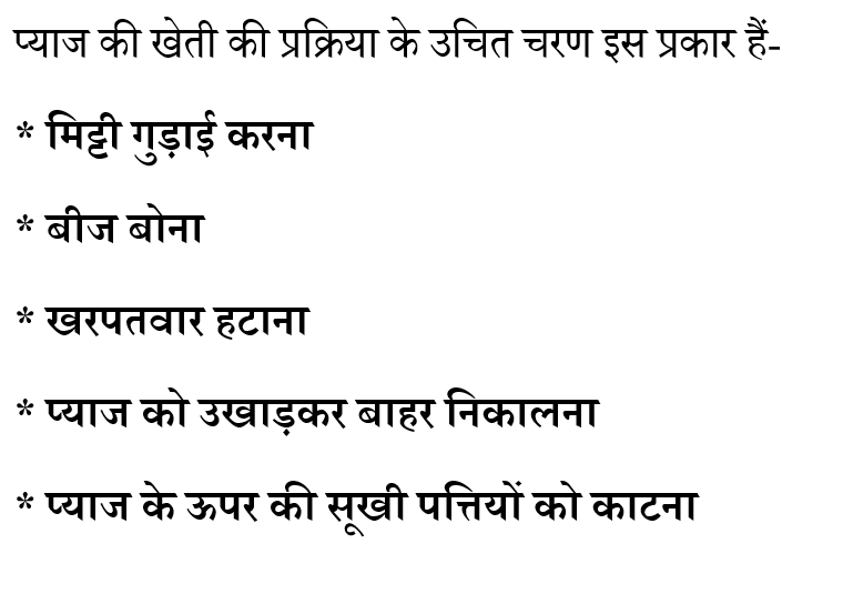 CTET Level -1 (30 June 2024) 2